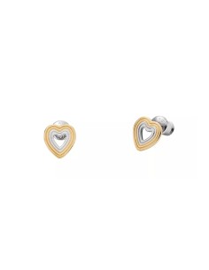 Ladies' Earrings Skagen SKJ1677998