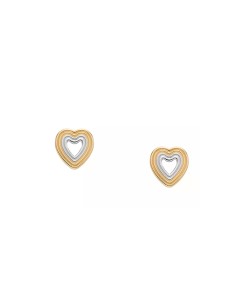 Ladies' Earrings Skagen SKJ1677998 2