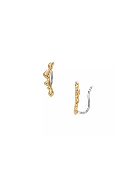 Ladies' Earrings Skagen SKJ1773710