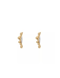 Ladies' Earrings Skagen SKJ1773710 2