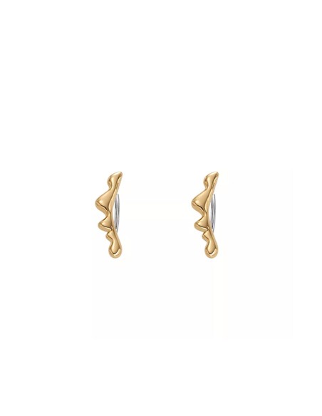Ladies' Earrings Skagen SKJ1773710