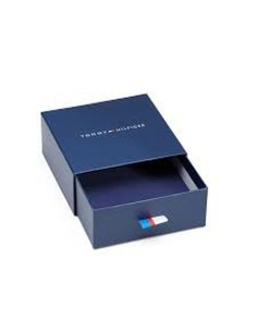 Ladies' Bracelet Tommy Hilfiger 2780745 2