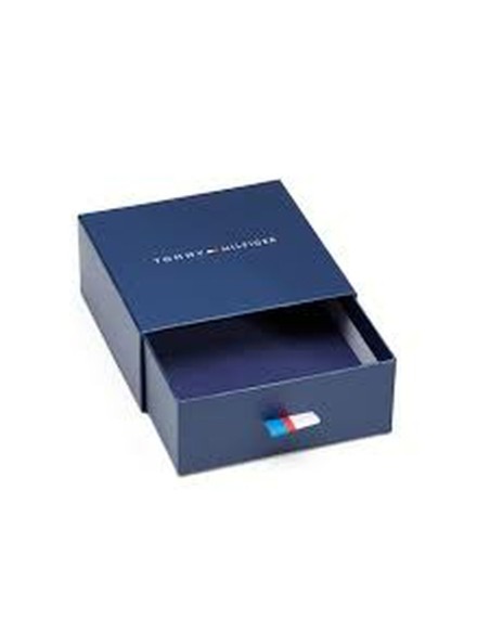 Men's Bracelet Tommy Hilfiger 2700510 Sterling silver 925