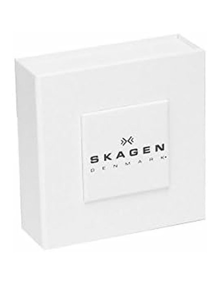 Ladies' Earrings Skagen SKJ1490040 Silver
