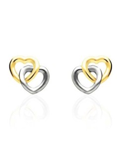 Ladies' Earrings Stroili 14009105