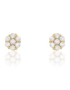 Ladies' Earrings Stroili 14011047