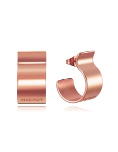 Ladies' Earrings Viceroy 75179E01017