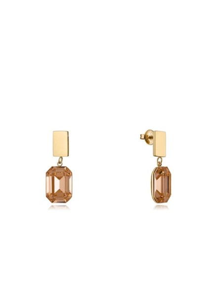 Ladies' Earrings Viceroy 14081E01012