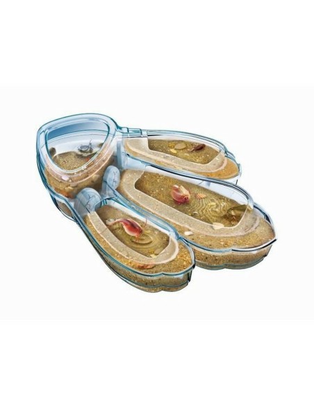 Science Game Clementoni Triops Les animaux préhistoriques FR
