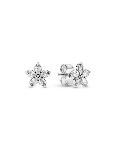 Ladies' Earrings Pandora 299239C01
