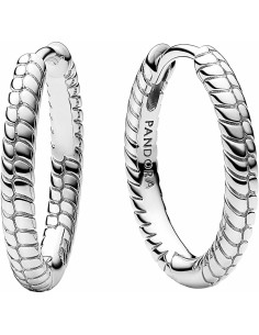Ladies' Earrings Pandora  292728C00