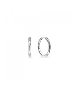 Ladies' Earrings Pandora 299532C00