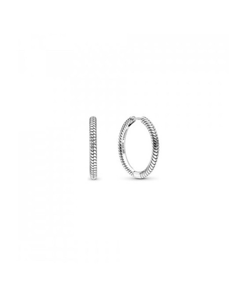 Ladies' Earrings Pandora 299532C00