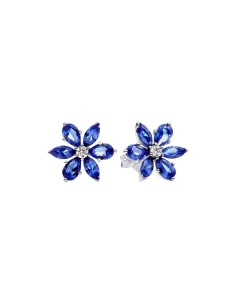 Ladies' Earrings Pandora 292407C01