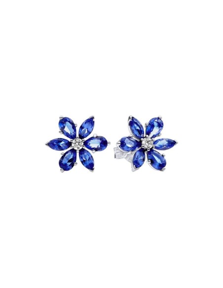 Ladies' Earrings Pandora 292407C01