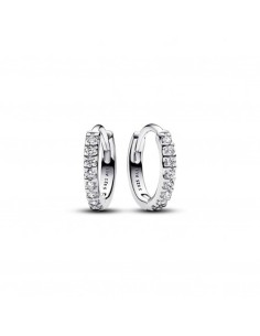 Ladies' Earrings Pandora 293015C01