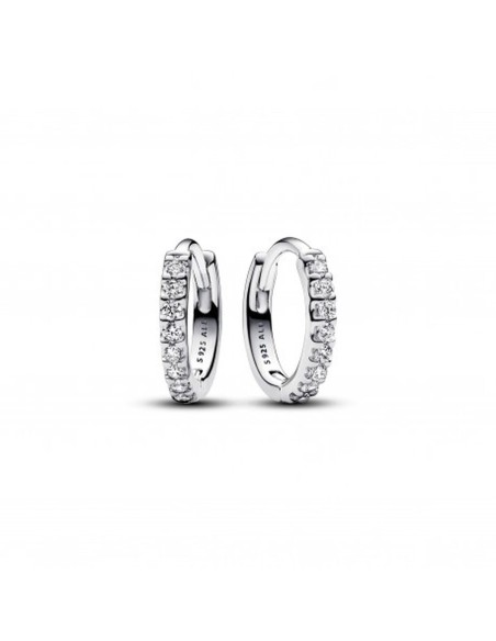 Ladies' Earrings Pandora 293015C01