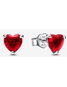 Ladies' Earrings Pandora 292549C01 Stainless steel Sterling silver 925 2