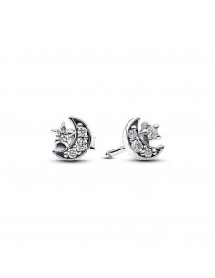Ladies' Earrings Pandora 292990C01