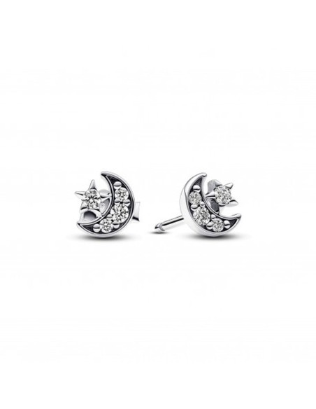 Ladies' Earrings Pandora 292990C01