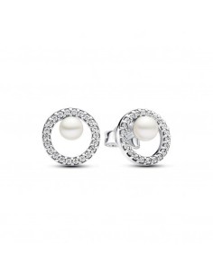 Ladies' Earrings Pandora 293154C01