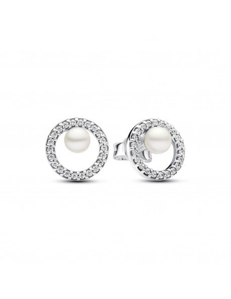 Ladies' Earrings Pandora 293154C01