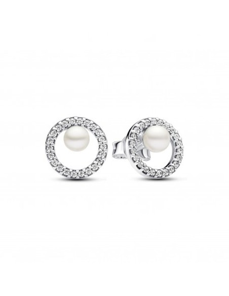 Ladies' Earrings Pandora 291248C01