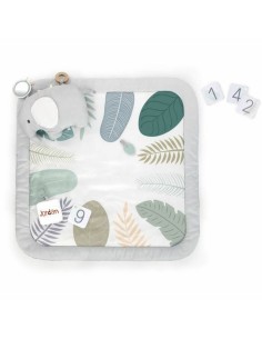 Play mat Ingenuity