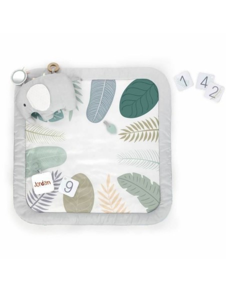 Play mat Ingenuity