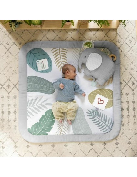 Play mat Ingenuity