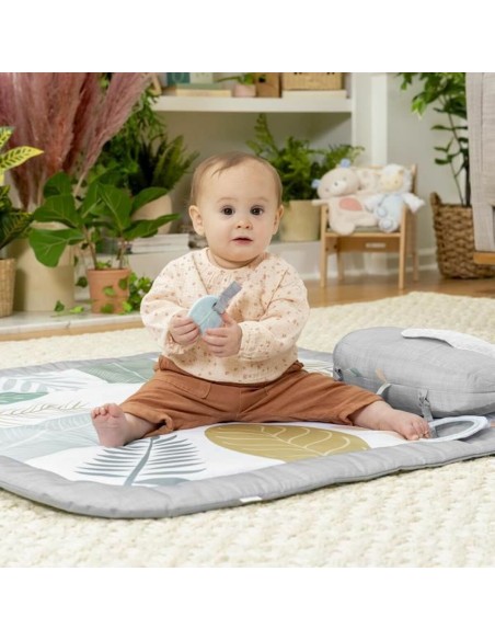 Play mat Ingenuity