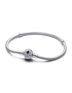 Ladies' Bracelet Pandora 593584C01-21 21 cm Silver