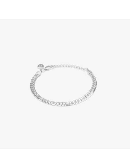 Ladies' Bracelet Radiant RH000226 Silver Golden