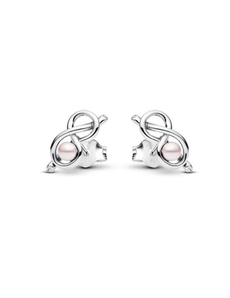 Ladies' Earrings Pandora 293761C01 Silver