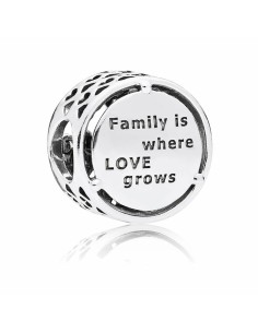 Woman's charm link Pandora OPENWORK FAMILY ROOTS 2
