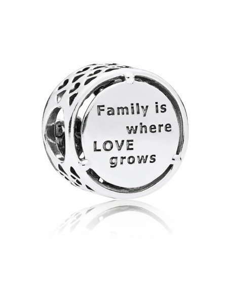 Woman's charm link Pandora OPENWORK FAMILY ROOTS