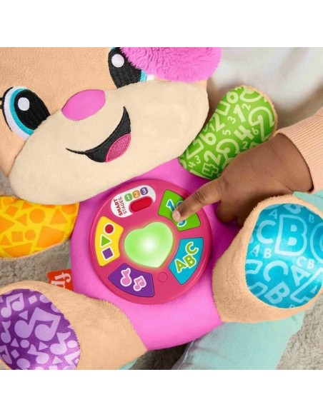 Musical Toy Fisher Price JFD31