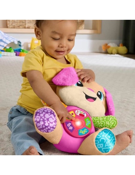 Musical Toy Fisher Price JFD31