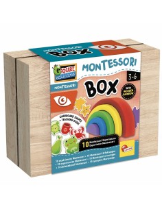 Educational Game Lisciani Giochi Montessori