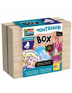 Educational Game Lisciani Giochi Montessori