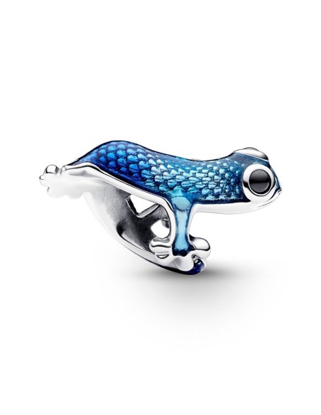 Woman's charm link Pandora 792701C01