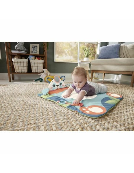 Play mat Fisher Price Plastic