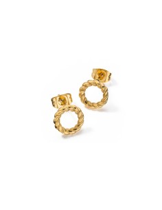Ladies' Earrings AN Jewels AL.EMW02Y