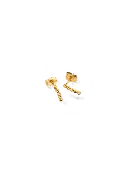 Ladies' Earrings AN Jewels AL.ESOK4YC