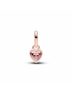 Woman's charm link Pandora 783042C01
