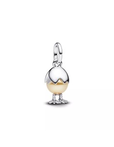 Ladies' Beads Pandora 793748C01 Silver