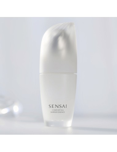 Facial Make Up Remover Sensai EXPERT ITEMS 40 ml