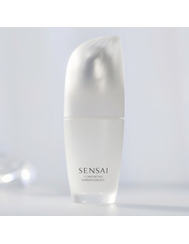 Facial Make Up Remover Sensai EXPERT ITEMS 40 ml