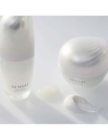 Facial Make Up Remover Sensai EXPERT ITEMS 40 ml