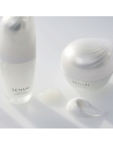Facial Make Up Remover Sensai EXPERT ITEMS 40 ml